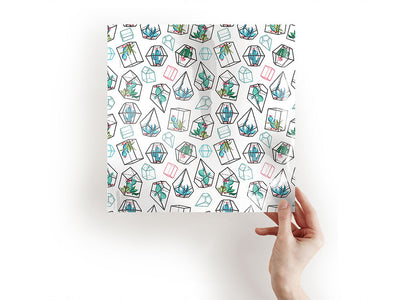 terrarium living cactus Craft Sheets
