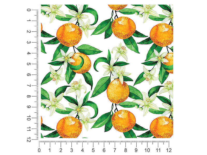 the hamlin fruit 1ft x 1ft Craft Sheets