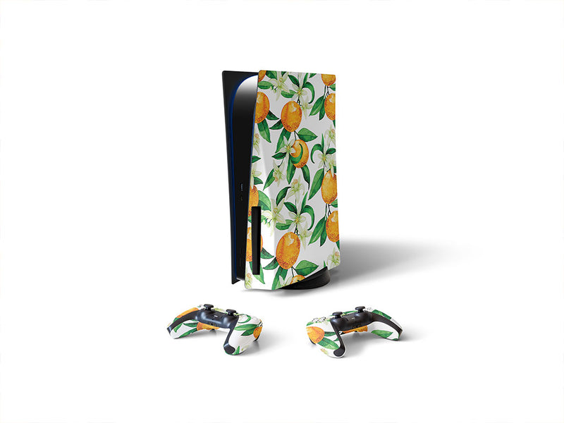 the hamlin fruit Sony PS5 DIY Skin