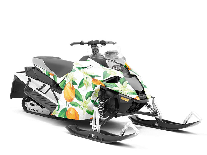 The Hamlin Fruit Custom Wrapped Snowmobile