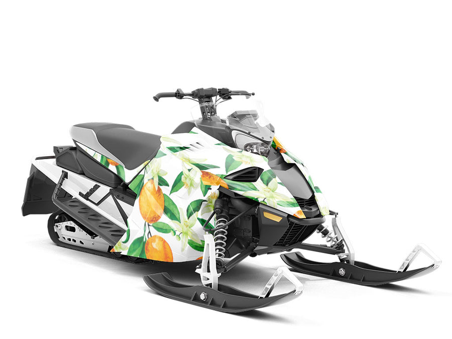 The Hamlin Fruit Custom Wrapped Snowmobile