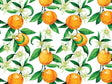 The Hamlin Fruit Vinyl Wrap Pattern~Rwraps Series 914 Digitally Printed Vinyl Wrap~0