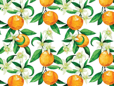 The Hamlin Fruit Vinyl Wrap Pattern~Rwraps Series 914 Digitally Printed Vinyl Wrap~0