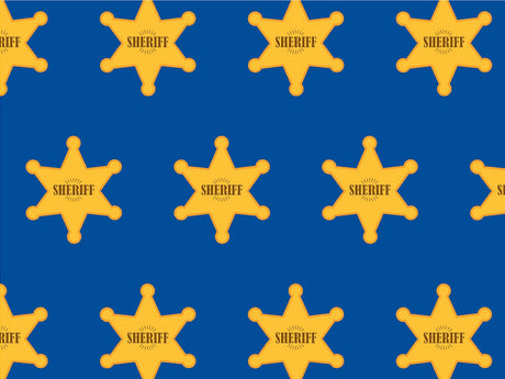 The Law Toy Room Vinyl Wrap Pattern~Rwraps Series 914 Digitally Printed Vinyl Wrap~0