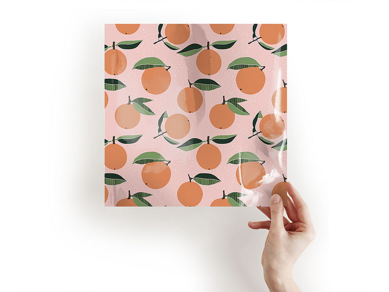 the valencia fruit Craft Sheets