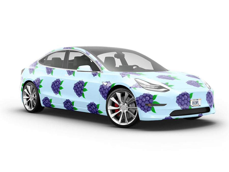Thornless Bounty Fruit Vehicle Vinyl Wrap