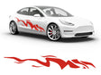 3M Light Red Tiger Bolt Body Graphic~Full Side Auto Decal Kit~0