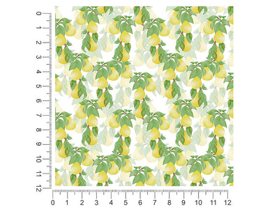 timeless anjou fruit 1ft x 1ft Craft Sheets