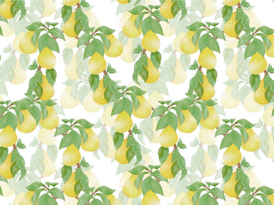 Timeless Anjou Fruit Vinyl Wrap Pattern~Rwraps Series 914 Digitally Printed Vinyl Wrap~0