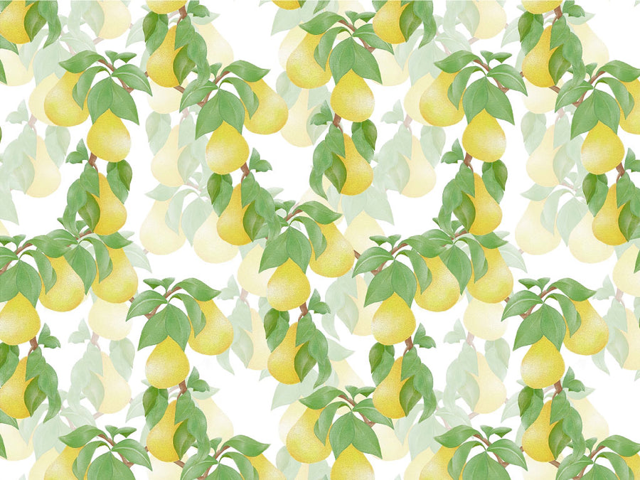 Timeless Anjou Fruit Vinyl Wrap Pattern~Rwraps Series 914 Digitally Printed Vinyl Wrap~0