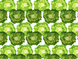 Tom Thumb Butterhead Vegetable Vinyl Wrap Pattern~Rwraps Series 914 Digitally Printed Vinyl Wrap~0