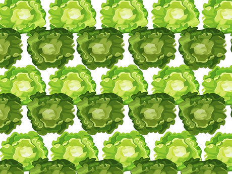 Tom Thumb Butterhead Vegetable Vinyl Wrap Pattern~Rwraps Series 914 Digitally Printed Vinyl Wrap~0