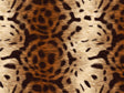 Tortoise Tiger Vinyl Wrap Pattern~Rwraps Series 914 Digitally Printed Vinyl Wrap~0