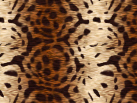 Tortoise Tiger Vinyl Wrap Pattern~Rwraps Series 914 Digitally Printed Vinyl Wrap~0