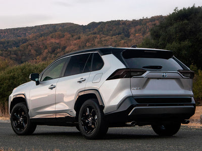 rav4 Blackout Tail Light TInt~1~0