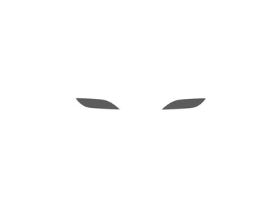 Rshield™ Toyota Sienna 2006-2010 Fog Light Protection Kit