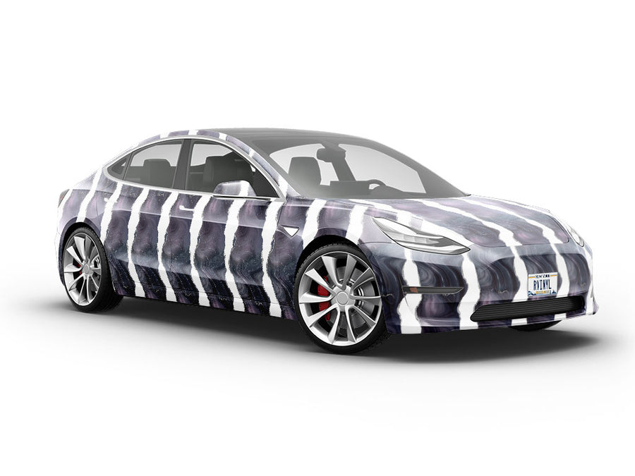 Turritella Fossil Gemstone Vehicle Vinyl Wrap