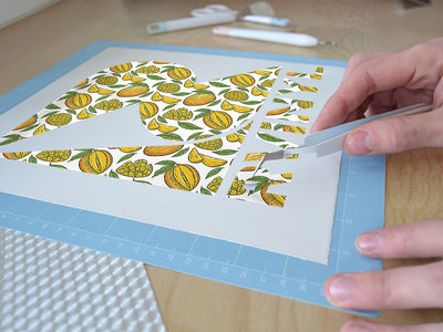valencia pride fruit Easy Weed Craft Vinyl