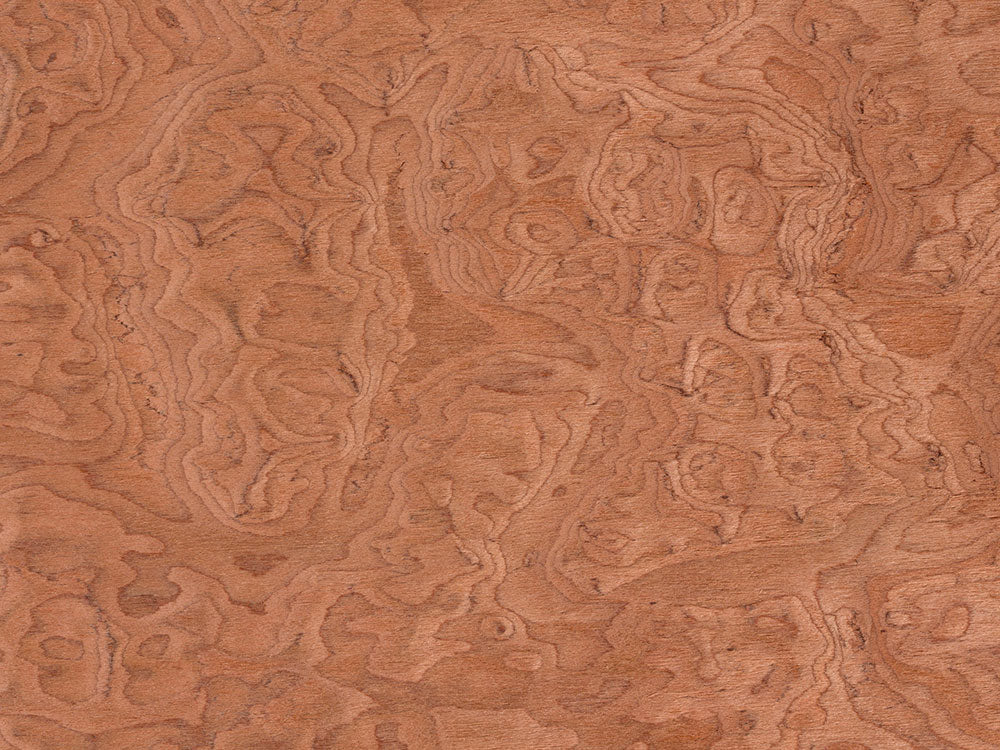 Rdash™ Custom Woodgrain Dash Kits