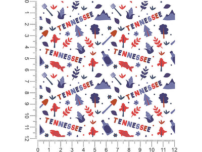 volunteer state  1ft x 1ft Craft Sheets