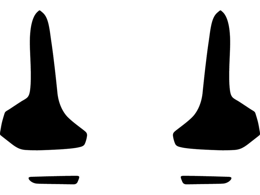 c30 Precut Tail Light Tint Diagram