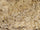 Rdash™ Cadillac Deville 2000-2005 Woodgrain Dash Kits