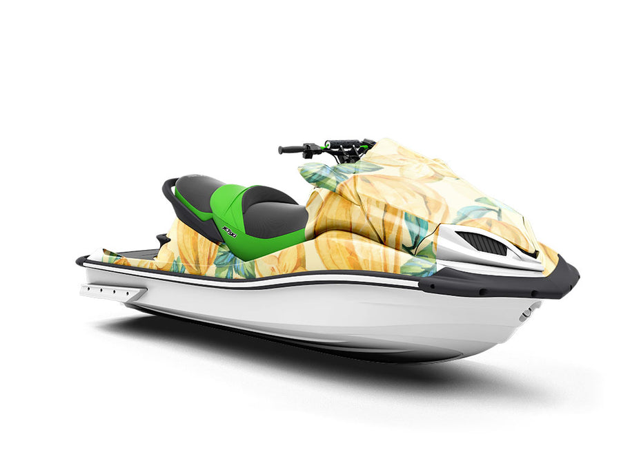 Watercolor Wishes Fruit Jet Ski Vinyl Customized Wrap