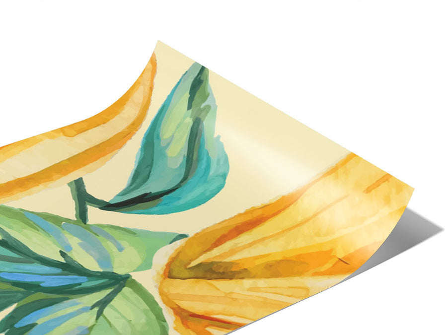 Watercolor Wishes Fruit Vinyl Wraps~Rwraps Series 914 Digitally Printed Vinyl Wrap~0