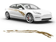 3M Gold Wear Away Body Graphic~Full Side Auto Decal Kit~0