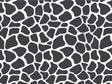 White Giraffe Vinyl Wrap Pattern~Rwraps Series 914 Digitally Printed Vinyl Wrap~0