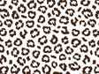 White Leopard Vinyl Wrap Pattern~Rwraps Series 914 Digitally Printed Vinyl Wrap~0