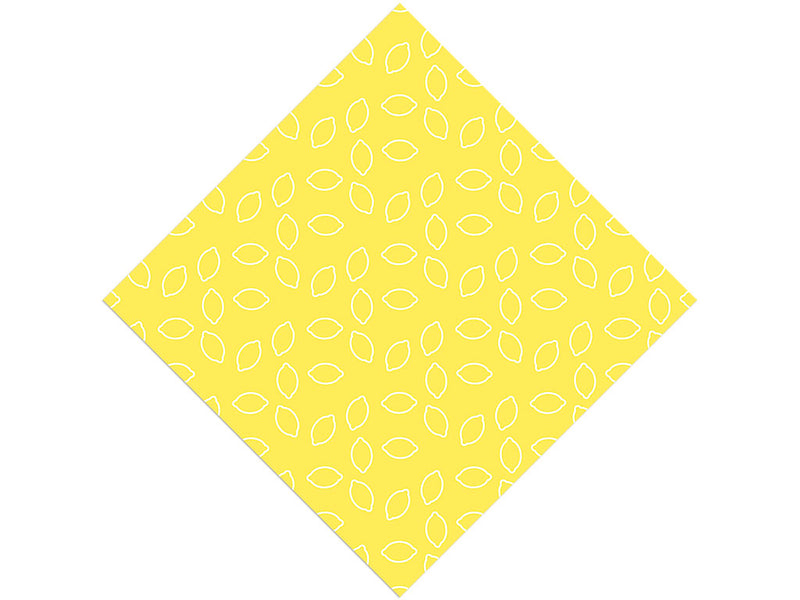 White Outline Fruit Vinyl Wrap Pattern
