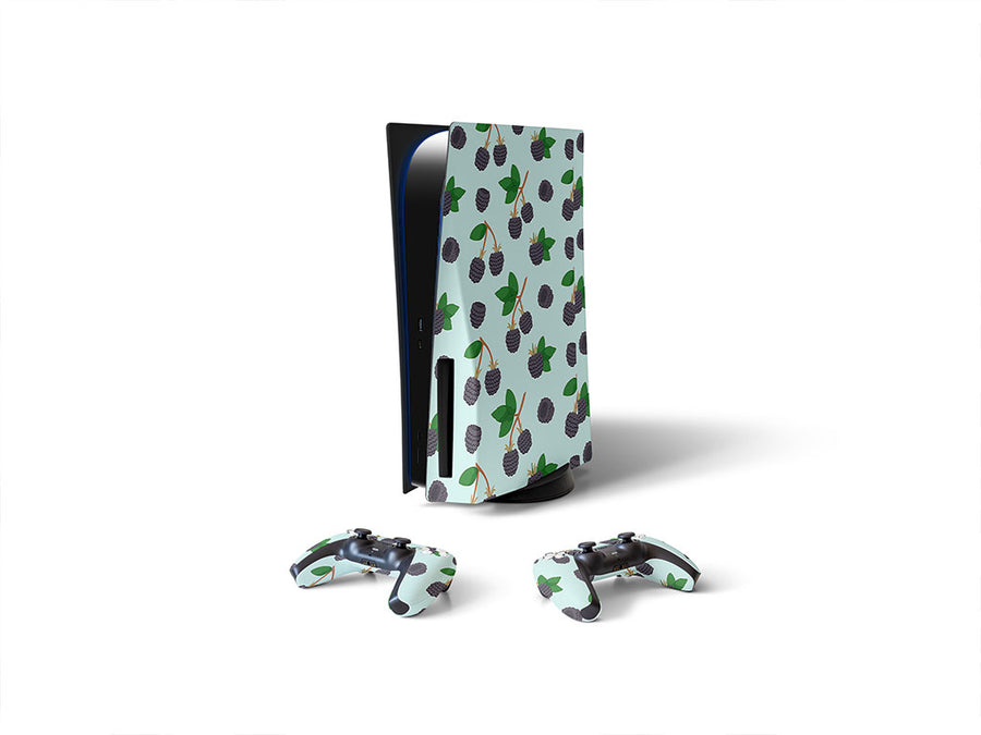 wild treasure fruit Sony PS5 DIY Skin