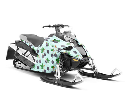 Wild Treasure Fruit Custom Wrapped Snowmobile