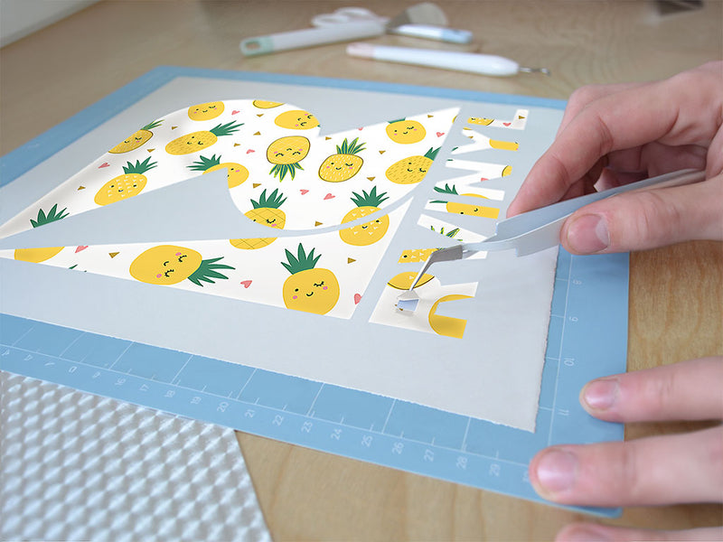 wink and smile fruit Easy Weed Craft Vinyl
