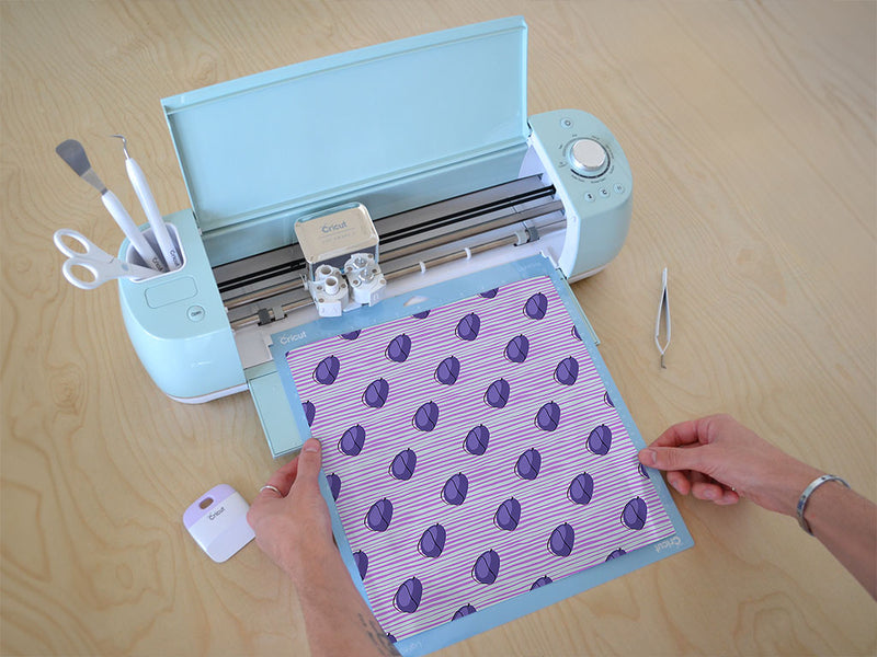 with aplomb fruit Cricut Compatible Vinyl