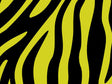 Yellow Zebra Vinyl Wrap Pattern~Rwraps Series 914 Digitally Printed Vinyl Wrap~0