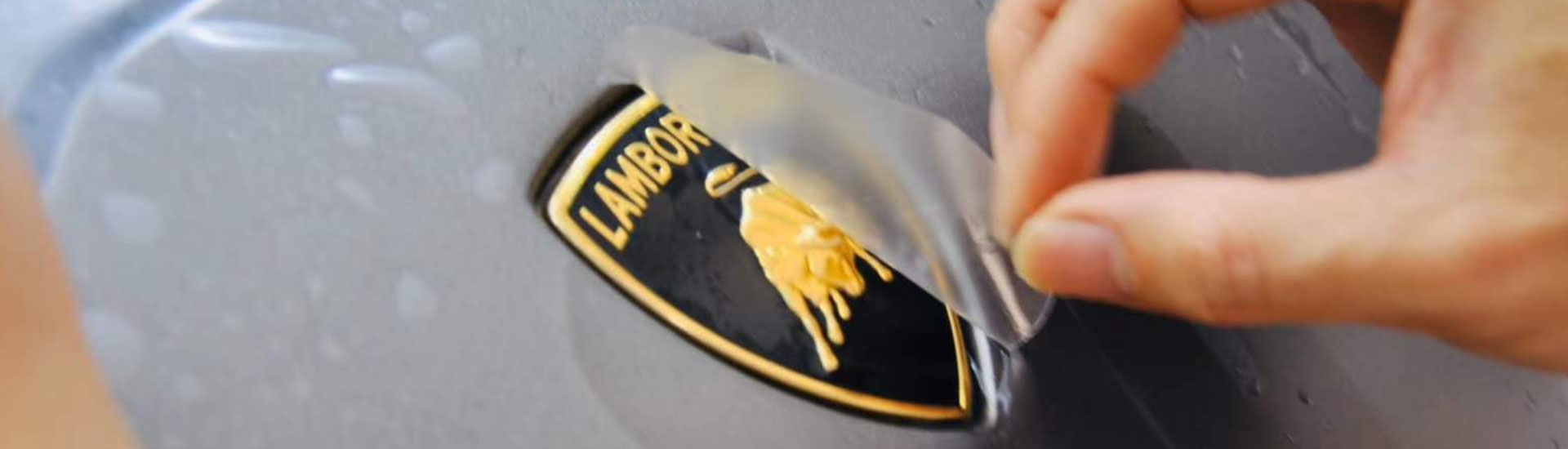 Hood Emblem Paint Protection Kits