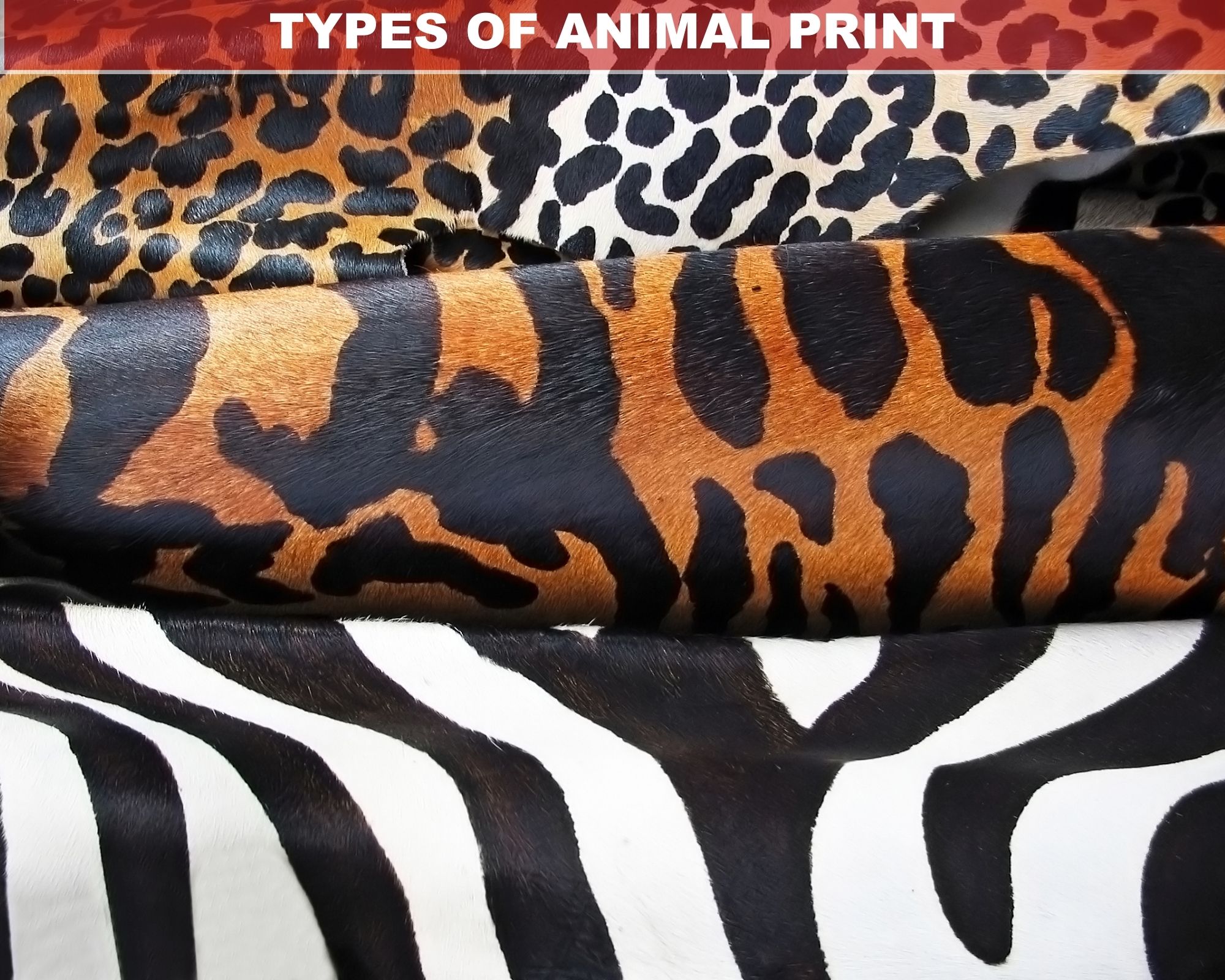 Types of Animal Print Vinyl