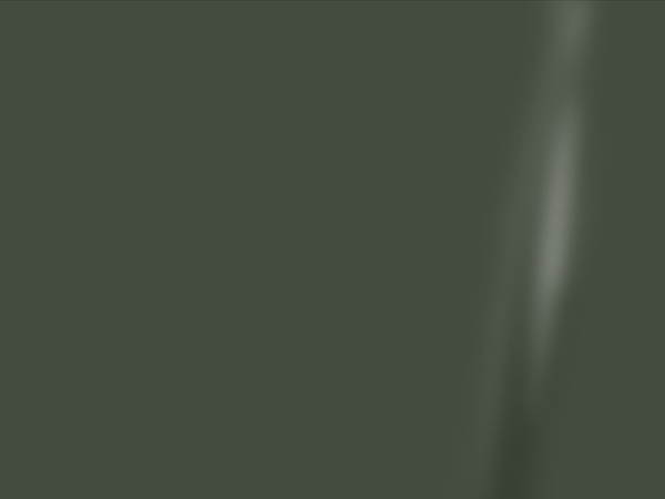 3M™ 2080 Matte Military Green Rim Wrap Color Swatch