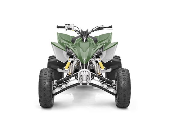 Rwraps Gloss Metallic Green Mamba DIY ATV Wraps