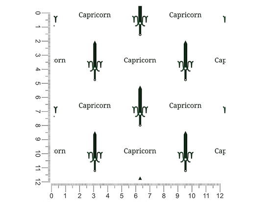 Capricorn Swords Astrology 1ft x 1ft Craft Sheets