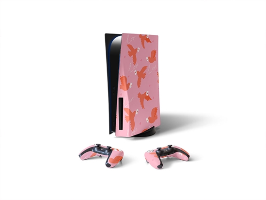 Heartfelt Carriers Bird Sony PS5 DIY Skin