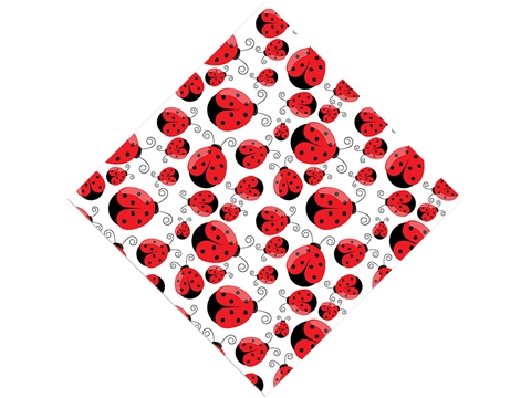 Rcraft™ Ladybug Craft Vinyl - Cartoon Cuties