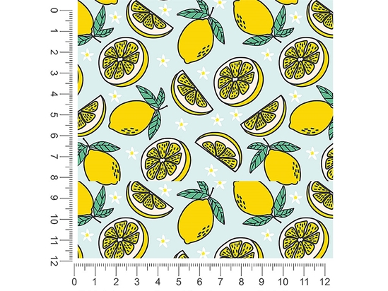 Four Seasons Fruit 1ft x 1ft Craft Sheets