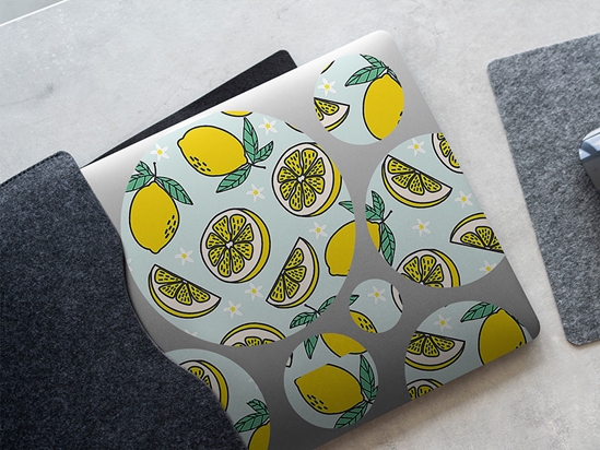 Four Seasons Fruit DIY Laptop Stickers