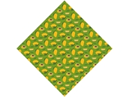 Sophie Fry Fruit Vinyl Wrap Pattern