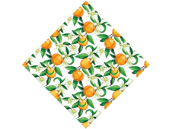 The Hamlin Fruit Vinyl Wrap Pattern