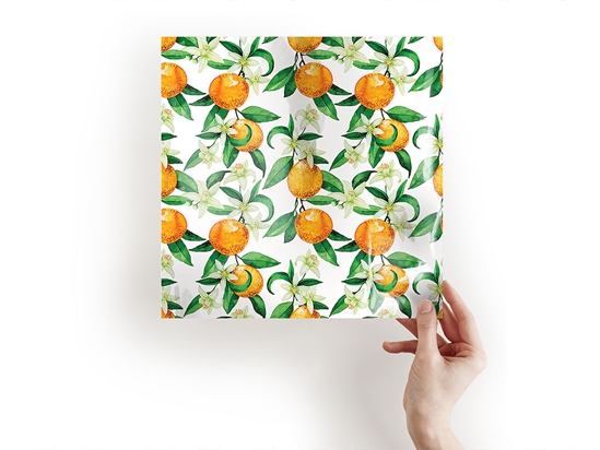 The Hamlin Fruit Craft Sheets