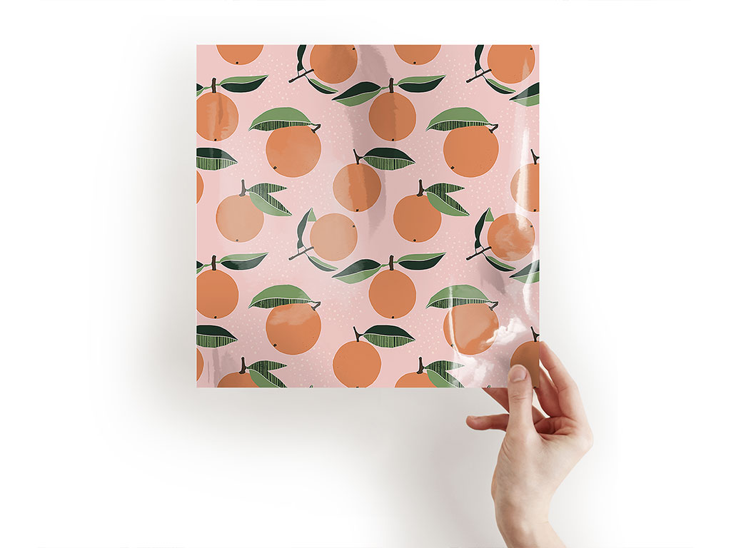 The Valencia Fruit Craft Sheets